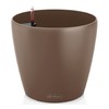 фото Color Classico Complete nutmeg