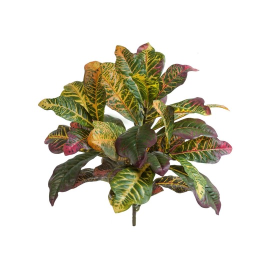 фото Кротон куст Мидл зелёно-жёлто-розовый (Sensitive Botanic) 45 см